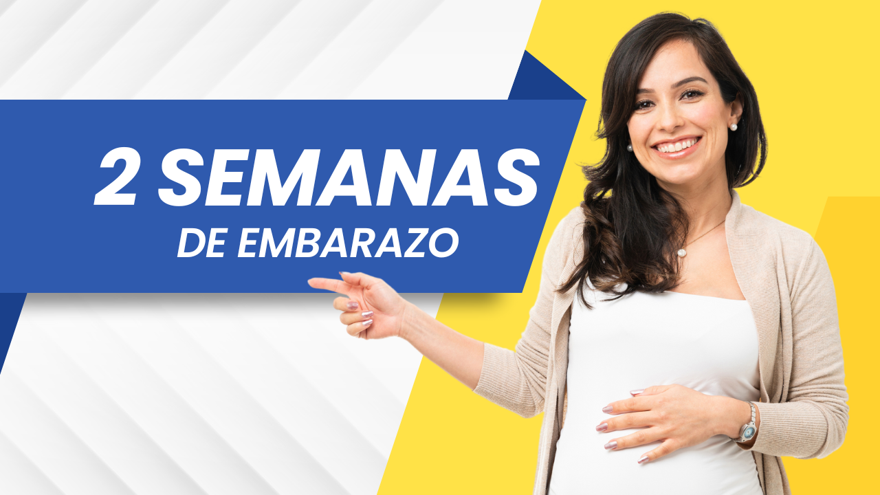 2 semanas de embarazo: Síntomas, Vientre, Bebé y Consejos