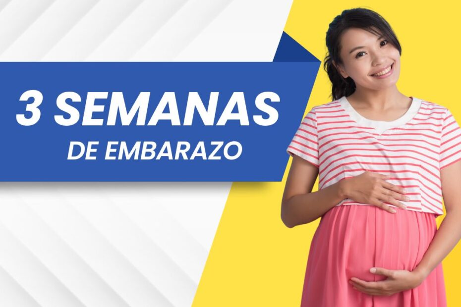 3 semanas de embarazo Síntomas, Vientre, Bebé y Consejos