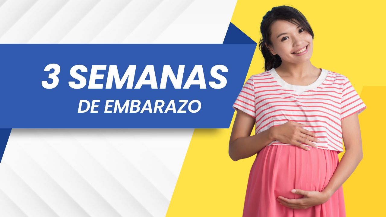 3 semanas de embarazo Síntomas, Vientre, Bebé y Consejos